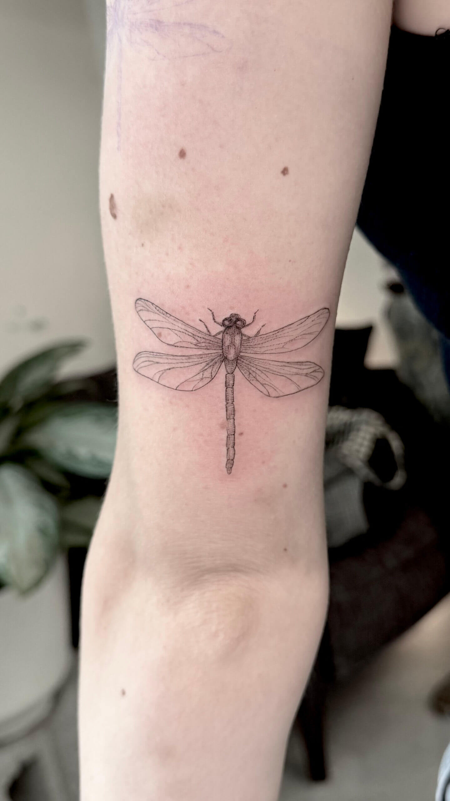 Commemorative Ink